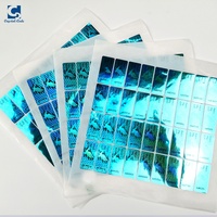 Autocollant holographique de sécurité découpé à la forme, étiquette transparente laser, étiquettes en vinyle, garantie UV PVC, anti-effraction personnalisé, produits chimiques, essence