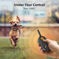 Patpet Bestes Hundetrainingshalsband Elektrisches Wiederaufladbares Hundehalsband mit Sicherer Fernbedienung Pieper Vibration Trainingsmodi Schockstufen