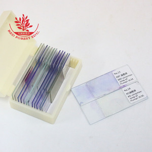 Sections de chromosomes pour la recherche en laboratoire, objectifs cytogénétiques, échantillons de microscopes biologiques pour l'analyse des chromosomes - Product Image 1