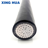 Cable de Alimentación Industrial para Construcción Ferroviaria de Bajo Voltaje 0.6/1KV YJLV con Aislamiento de PVC y Núcleo de Aluminio 1*25.0 mm al por Mayor