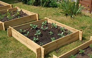 Boîte <span class=keywords><strong>de</strong></span> jardinière carrée en bois Offre Spéciale <span class=keywords><strong>lit</strong></span> <span class=keywords><strong>de</strong></span> <span class=keywords><strong>jardin</strong></span> surélevé étanche pour un usage domestique - Product Image 6