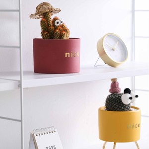 Petit pot de fleurs en céramique nordique moderne personnalisé avec fer forgé pour jardin en gros Ins charnu - Product Image 4