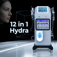 Appareil de soin du visage à jet d'oxygène, soin du visage hydratant en profondeur, 12 en 1, Hydra Shrink Pores, taches blanches, machine de beauté Hydra