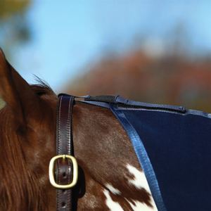 חסכוני עיצוב לוגו מותאם אישית סוסים שמיכת רכיבה באיכות גבוהה ספק סוסים סדין - Product Image 3