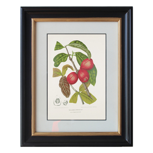 Quadro in Legno Personalizzato con Stampa Decorativa di Fiori Natiere, Opera d'Arte <span class=keywords><strong>da</strong></span> Parete, Decorazione Murale - Product Image 5
