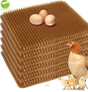 Stop Egg Eating Habit-Alfombrilla de nido artificial antipicoteo para gallinas - Product Image 4