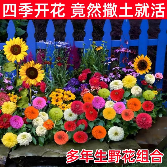 ดอกไม้ป่าในสวนระดับไฮเอนด์