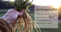 Capsules de gel d'ashwagandha, d'huile de graines noires, de gingembre et d'algues marines pour adultes, OEM