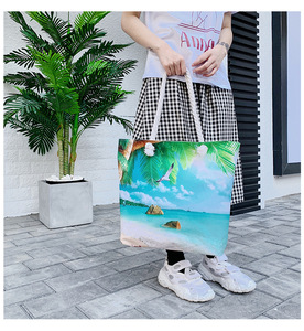 Quantité minimale de commande bas automne chat toile plage sacs en plastique pour plages femmes fourre-tout sac à provisions - Product Image 6