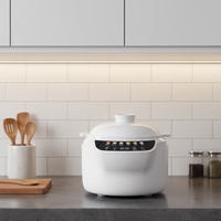 Marmite Électrique Multifonction avec Couvercle en Céramique Blanche - 1,5-2,5 L, Menus Préprogrammés, Minuteur et Réservation, pour une Cuisine Saine, Aliments pour Bébé