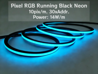 Lampu Strip LED Neon Digital RGB Full Color DMX512 Outdoor Pixel Tahan Air IP67 24V Chasing Running Hitam