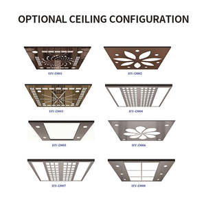 एंटीज़ प्रमाणित हाइड्रोलिक एस्सेर मैसन आउटडोर आवासीय लिफ्ट 2-4 मंजिल बाहरी यात्री लिफ्ट होम लिफ्ट - Product Image 3