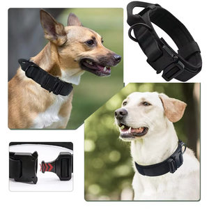 Anpassbares Logo & Farbe Nylon Trainings halsband Metalls chnalle Taktisches Hunde halsband Leine Set für mittelgroße Hunde Haustier produkte - Product Image 2