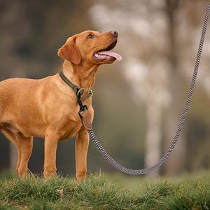 Laisse en corde pour chien en cuir avec fermoir robuste en métal robuste Laisse en corde pour chien en cuir véritable Connexion sur mesure avec points forts - Product Image 2