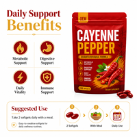Gélules de piment de Cayenne à marque privée, complexe de capsicum et gingembre, fabrication OEM, étiquette blanche, complément en vrac, approvisionnement en gros, usine certifiée GMP