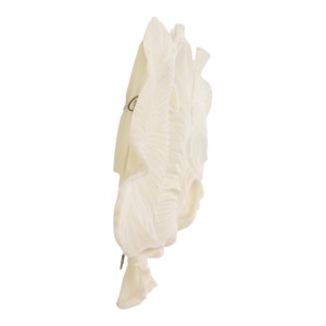 Arte Murale in Resina a Forma di Conchiglia, Sculture Organiche Incorniciate per Decorazione Casa - Product Image 4
