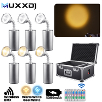 Lot de 20 projecteurs LED Pinspot 10W avec zoom, magnétiques, sans fil DMX, blanc froid et blanc chaud, pour DJ et éclairage de mariage