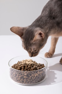 Lovidovi Polvo <span class=keywords><strong>de</strong></span> Yema <span class=keywords><strong>de</strong></span> <span class=keywords><strong>Huevo</strong></span> Nutritivo a Granel con Proteína IgY - Suplemento para Gatos que Reduce y Neutraliza los 3 Alérgenos Fel <span class=keywords><strong>D1</strong></span> OEM - Product Image 2