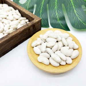 รูปร่างยาวถั่วแห้งถั่วสีขาวราคาขายส่งถั่วสีขาวที่มีคุณภาพดี - Product Image 5