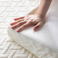 Matelas en mousse respirant avec housse amovible, pliable, pour dortoir et prison