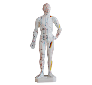 Modello Anatomico del Meridiano per Agopuntura - Modello di Agopuntura <span class=keywords><strong>26</strong></span> <span class=keywords><strong>Centimetri</strong></span> - Product Image 3