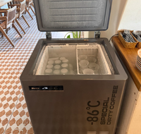 Congélateur ultra basse température commercial de qualité et durable -86°C ℃ Congélateur à refroidissement rapide, 102 L, pour gobelets à glace plate, stockage de gobelets à glace