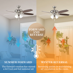 Ventilateur de plafond en verre décoratif pour la maison, avec 5 pales, 52 pouces, avec lumière LED et chaîne de tirage, pour salon - Product Image 3