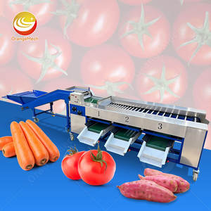 Machine de tri et de lavage automatique ORME pour kiwi, myrtilles, oranges, ail, dattes, tri par taille, prix - Product Image 1