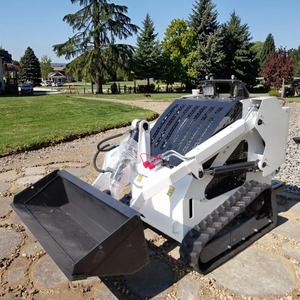 DPS-T460 miễn phí vận chuyển EPA Euro 5 Crawler Mini <span class=keywords><strong>Skid</strong></span> chỉ đạo 300kg theo dõi nhỏ <span class=keywords><strong>Skid</strong></span> chỉ đạo với file đính kèm <span class=keywords><strong>Skid</strong></span> chỉ đạo để bán - Product Image 3