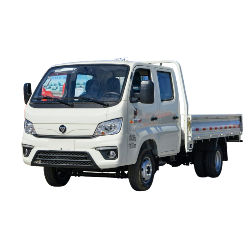 Customized Foton Ton Mini Truck Mounted Crane 4x4 Diesel Mini