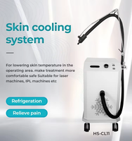 Refroidisseur cutané vertical à air froid pour la thérapie laser, réduction de la douleur, température réglable, nouveau design 2026 pour salon