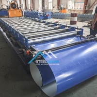 Petit pain de haute qualité de panneau de toit de tuile de Zee de ventes directes d'usine formant la machine pour l'Irak