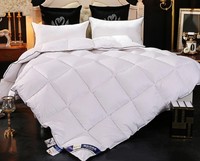 Offre Spéciale personnalisé épaississement massif couette couette de drap de couette couette en duvet d'oie