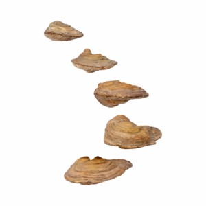 <b>Floating</b> Stone Inspired <b>Wall</b> Hanging Decor For Bedroom Bathroom Living Room Art Home Accents - Product Image 2