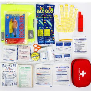 Hoshina <b>EVA</b> First Aid Kit 30x24x10cm Emergency Rescue Storage Bag Outdoor Vehicle Use - Product Image 1