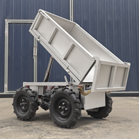 Elektrischer Raupenkipper 500kg Ferngesteuerter Allterrain-Transporter Bürstenloser Motor CE RC Mini-Dumper