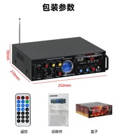 Mini amplificateur de puissance Hi-Fi professionnel pour la maison, 2.0 canaux, matériau en fer, chargé sur un camion