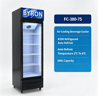 Vitrine réfrigérée verticale pour boissons, refroidisseur d'air commercial pour supermarchés et commerces de détail