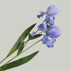 Iris Artificial de Seda Plástica Teñida con Tinta ZHOUDI, Mezcla de Seda, para Decoración del Hogar y Bodas - Product Image 3