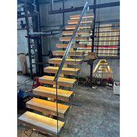 Escalier sur mesure à monopoutre avec panneaux en verre trempé, marches en noyer massif et éclairage LED encastré dans les marches
