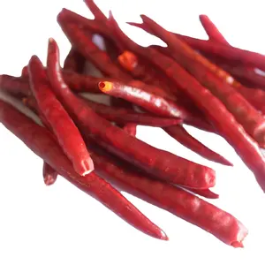 Red Dried Chilli China AD Herbs & Spices Chili Pepper Premium