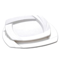 Assiette de présentation carrée en mélamine de 10 pouces, moderne, personnalisée, de qualité alimentaire, écologique et compatible lave-vaisselle