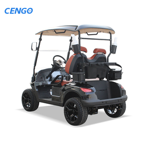 Voiturette de golf personnalisable 2 places 48V homologuée pour la route à vendre – Voiturette de golf 2 places à essence - Product Image 6