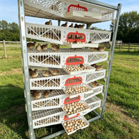 Cage d'élevage de cailles en plastique durable, anti-corrosion, peu encombrante, pour la ponte des œufs de cailles en élevage avicole HJ-QC400B