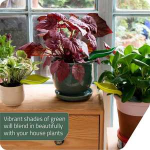 Ensemble de 3 entonnoirs d'arrosage en plastique Peleg Design Leaflow pour plantes d'intérieur et d'extérieur - Product Image 4