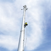 Tour monopode de télécommunication personnalisée en acier galvanisé Q235B pour antenne de signalisation résidentielle