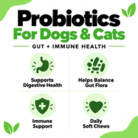 OEM ODM Friandises à mâcher molles probiotiques pour chiens et chats, santé digestive, prébiotiques, enzymes, supplément pour animaux de compagnie à la citrouille, marque privée