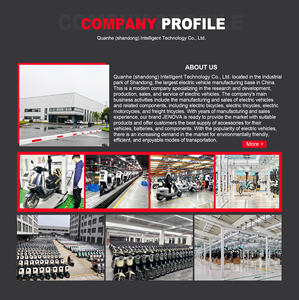 دراجة كهربائية رياضية للكبار عالية السرعة 2000 واط/3000 واط، للطرق الوعرة ببطارية ليثيوم 72 فولت، دراجات نارية كهربائية للبيع - Product Image 5