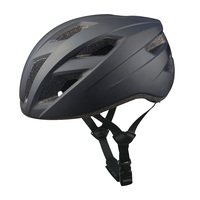 Casque de vélo à prix réduit en vente d'usine, casque de vélo de protection pour la tête avec coque en PC pour adultes
