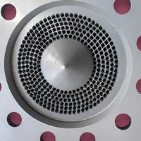 Tête de moulage pour granulation à l'eau 38CrMoAla nitrurée pour machine de granulation sous-marine
